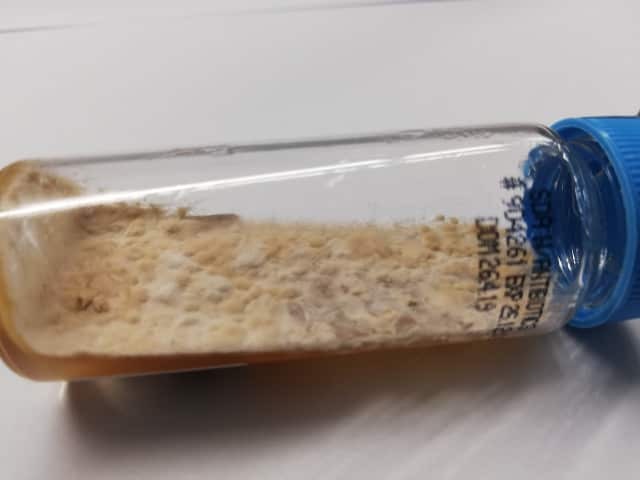 Na micose de pele, a cultura para fungos pode ser solicitada quando há dúvida sobre o diagnóstico ou quando o tratamento não está funcionando como esperado. Esse exame identifica o fungo responsável pela infecção e pode orientar a escolha do tratamento.
